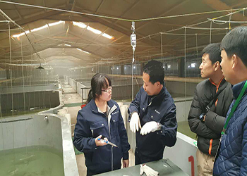 我國海水養殖技術新突破 告別'嗑藥'魚，首個海水魚活疫苗投產應用