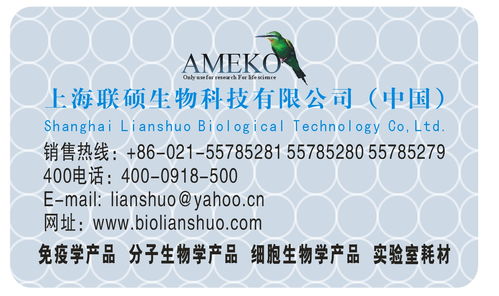 深度解析價(jià)格、采購、供應(yīng)商信息與技術(shù)交流的關(guān)聯(lián)與策略